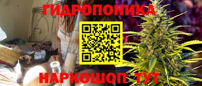 mdpv Беслан