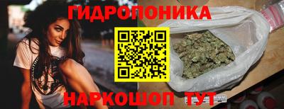 сатива Бийск