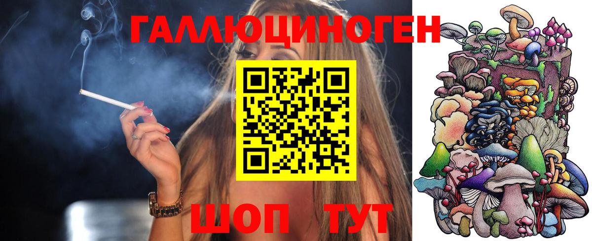 Псилоцибиновые грибы Psilocybe Зерноград