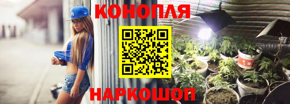 Зерноград  Бошки марихуана план  Вход с VPN  Бошки марихуана Amnesia 